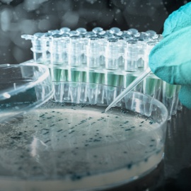 /Image Grid/Research Areas.png